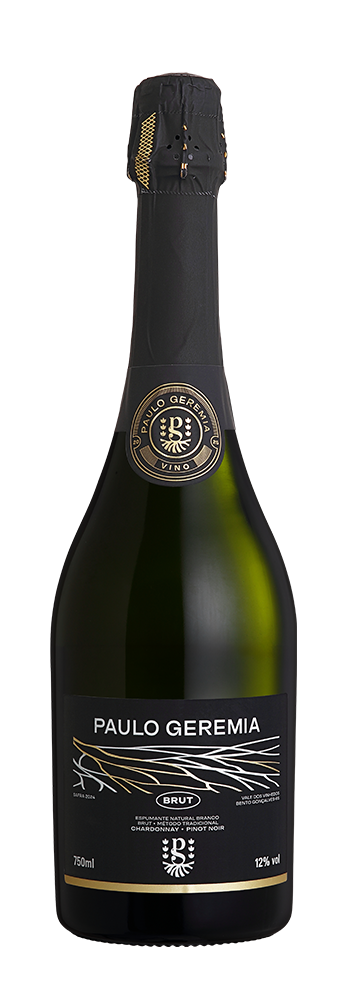 Paulo Geremia Brut